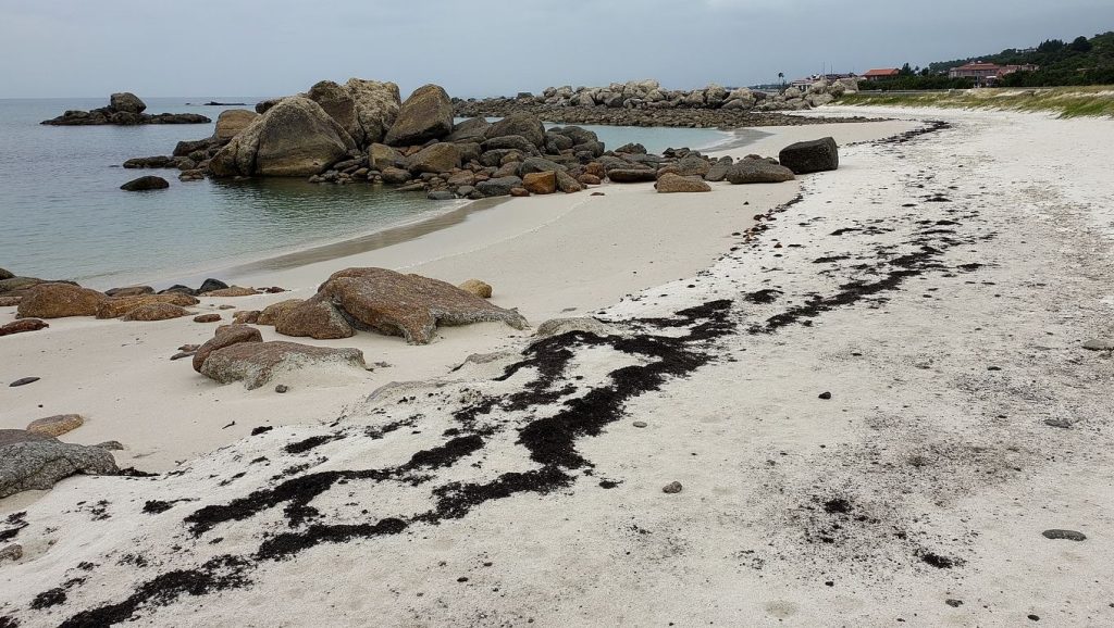 Praia de Porto Ancho — foto 2 de 6