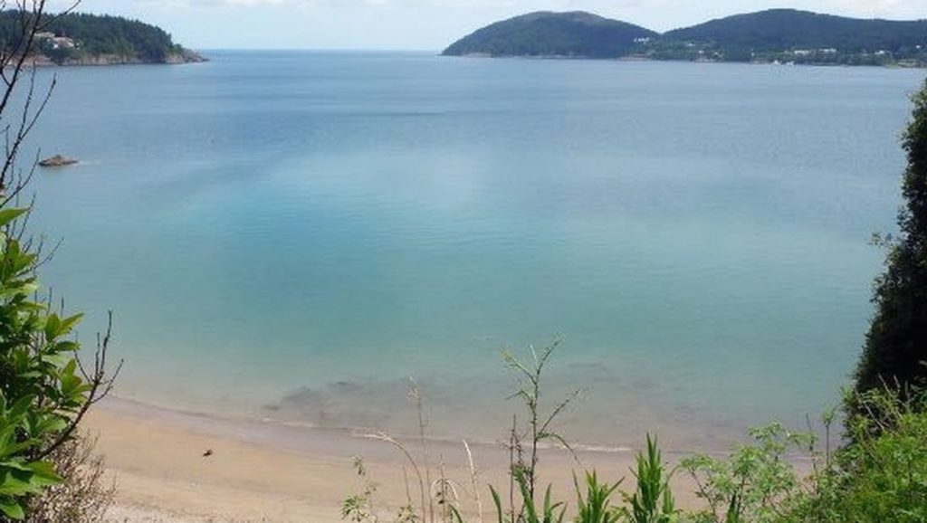 Entorno natural de Praia de Sacido en Lugo