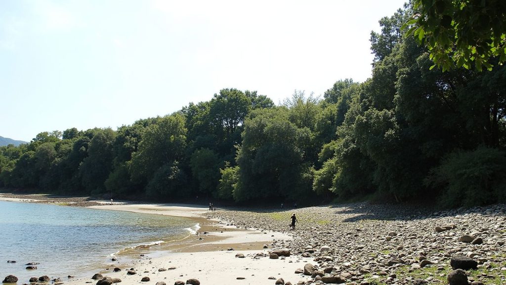 Praia de Sopazos de Terra — foto 4 de 6