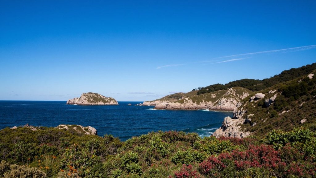 Arena de Praia de Sucastro, Xove (Lugo)