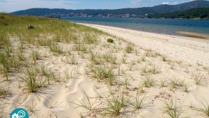 Praia de Testal (Ribeira, A Coruña)