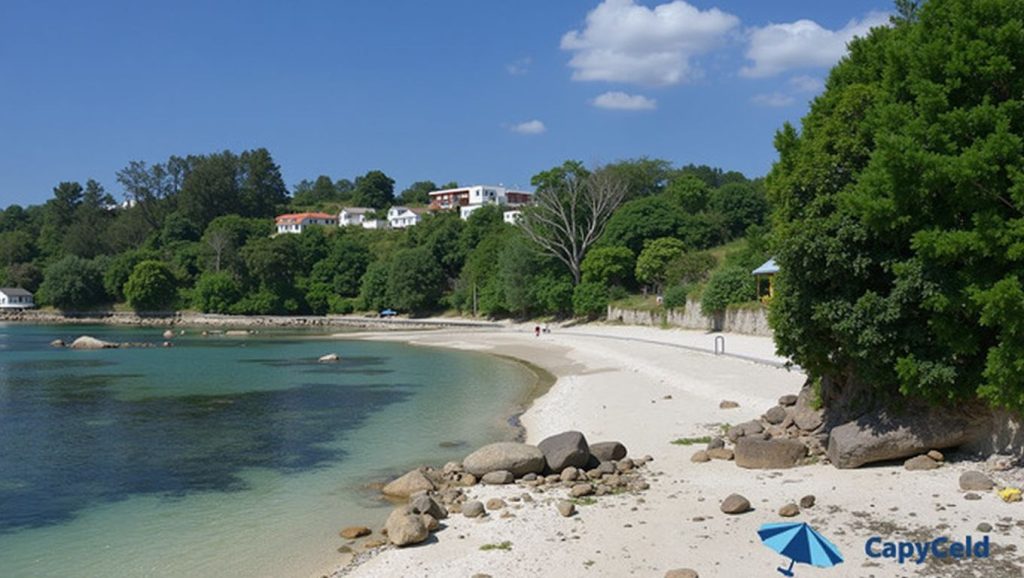 Arena de Praia de Vilela, Mañón (Lugo)