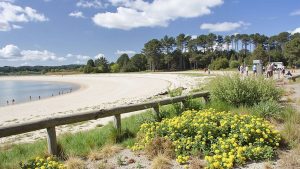 Praia de Xestelas