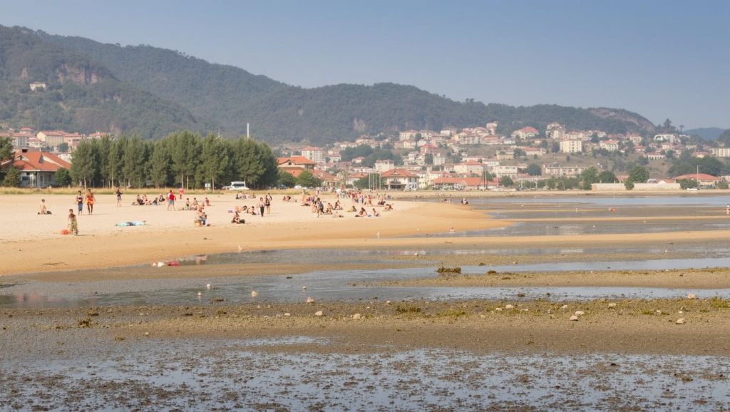 Arena de Praia do Arnado, Moaña (Pontevedra)