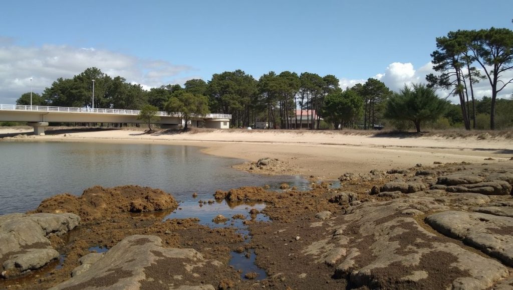 Entorno natural de Praia do Castelete en Pontevedra