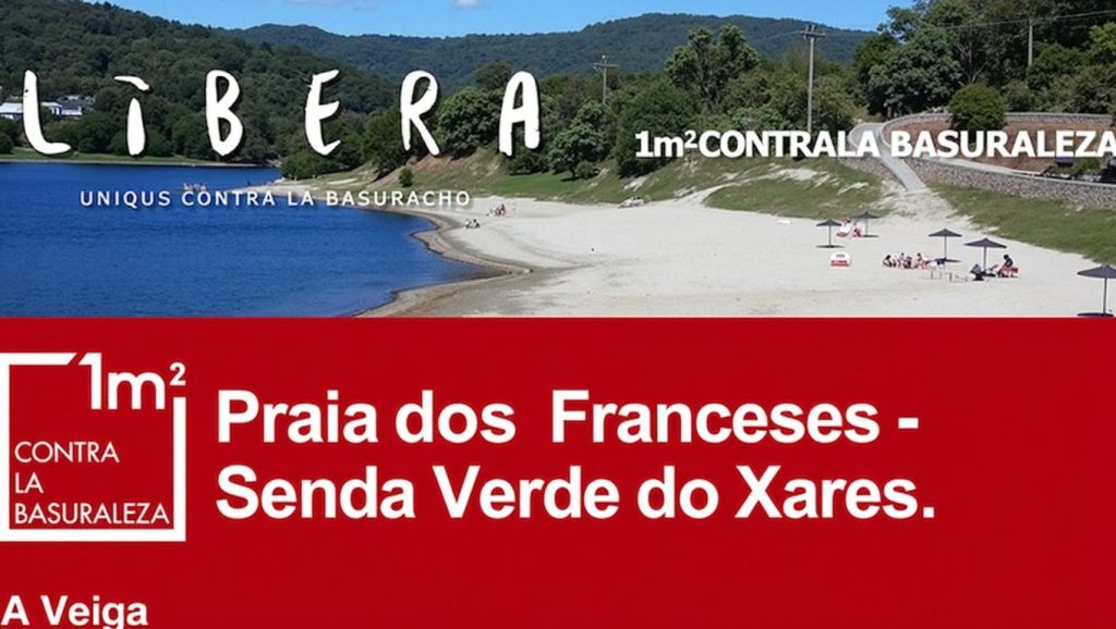Arena de Praia do Coiñedo, A Veiga (Ourense)