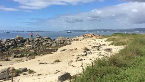 Praia do Con de Testos