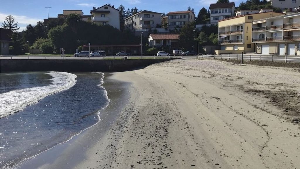 Arena de Praia do Covelo, Poio (Pontevedra)