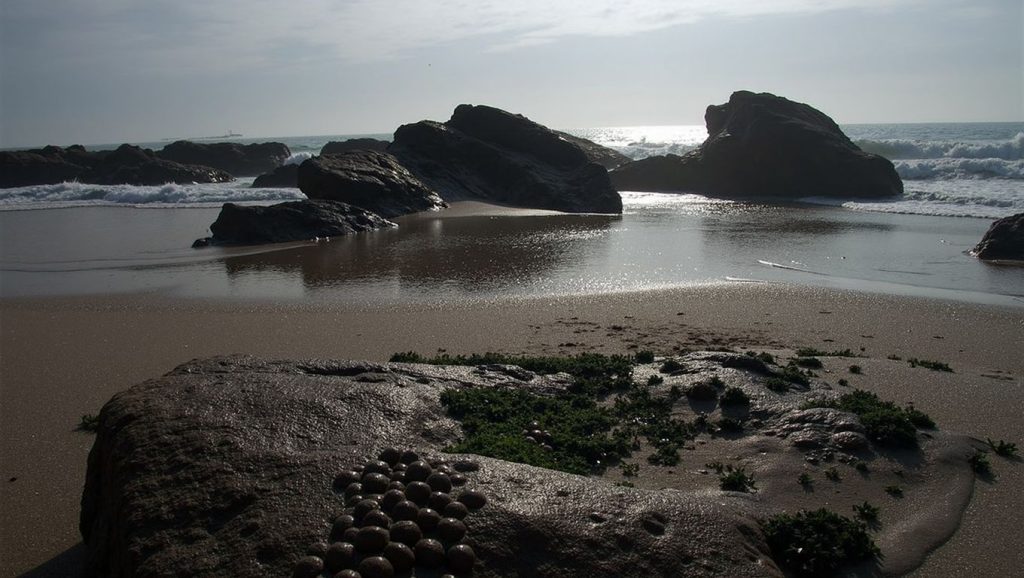 Praia do Furado — foto 2 de 6