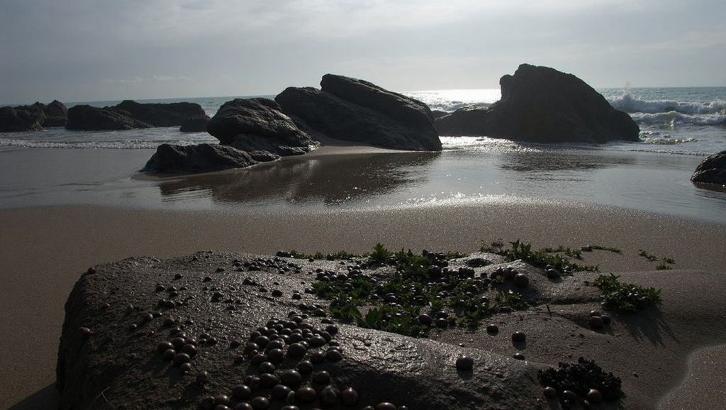 Praia do Furado — foto 2 de 6