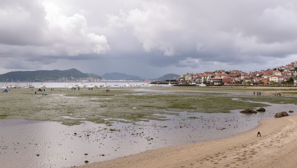 Arena de Praia do Padrón, Poio (Pontevedra)