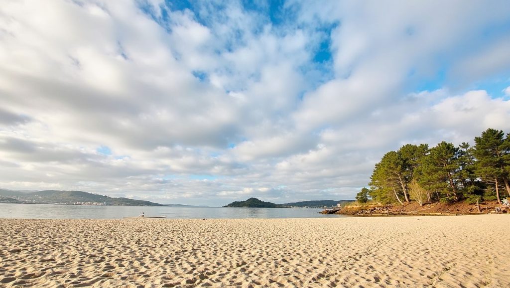 Arena de Praia do Polvorín, Poio (Pontevedra)