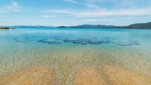 Praia do Porto