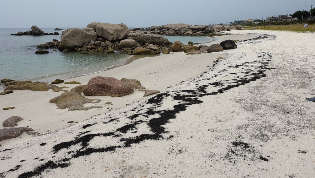Praia do Porto dos Robalos — foto 1 de 6