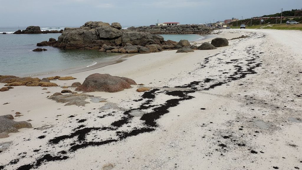 Praia do Porto dos Robalos — foto 6 de 6
