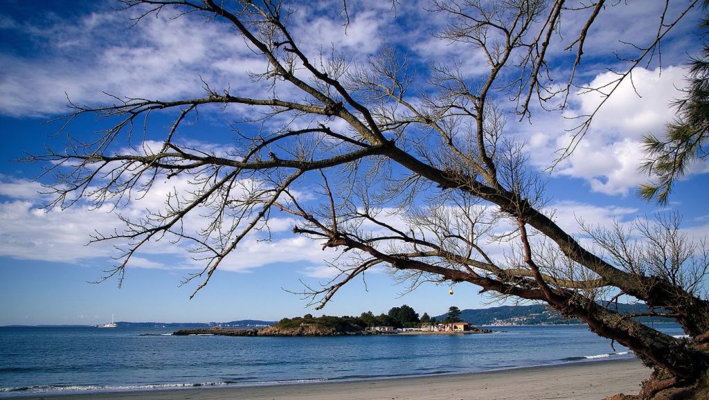 Praia do Santo — foto 2 de 6