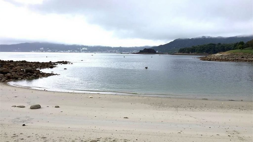 Panorámica de Praia do Seixal, A Coruña