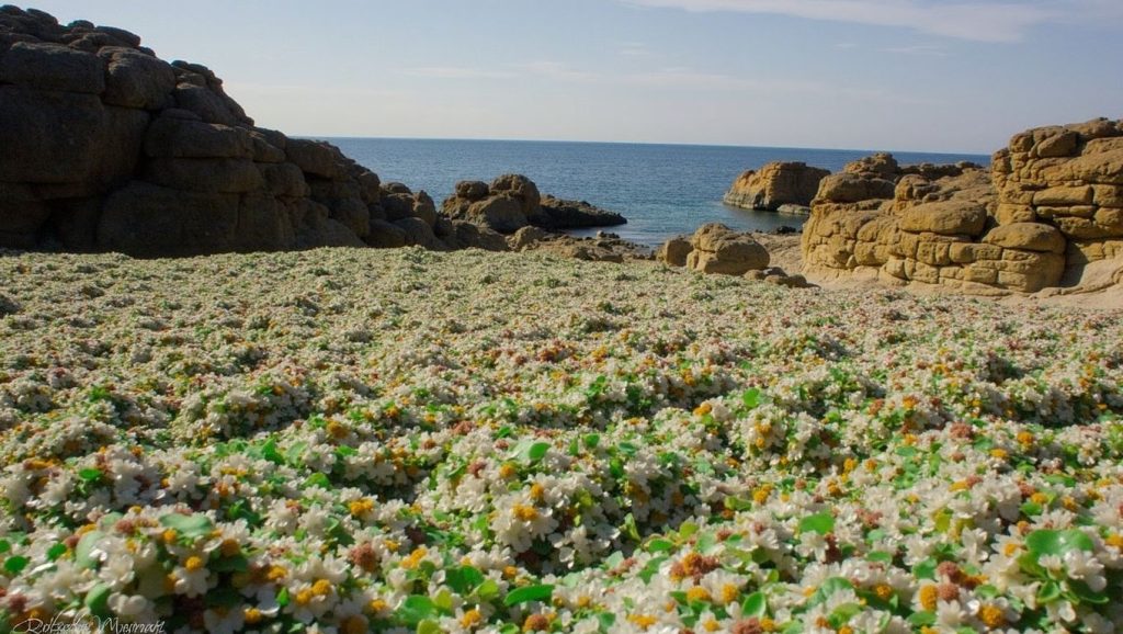 Acantilados y costa de Praia dos Cristais, Laxe (A Coruña)