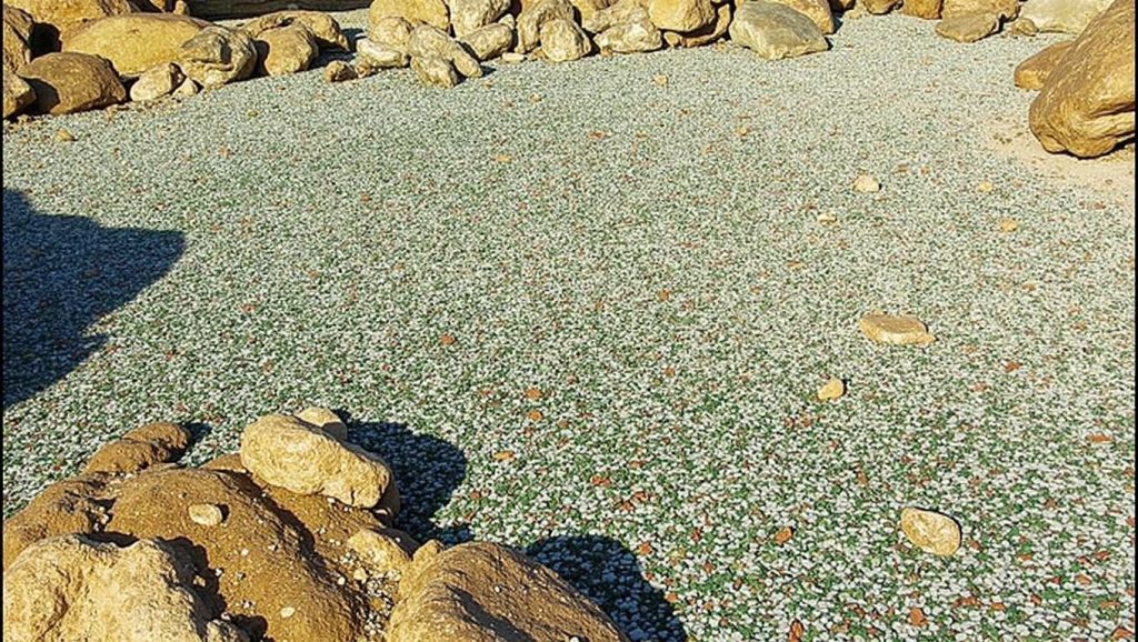 Entorno natural de Praia dos Cristais en A Coruña