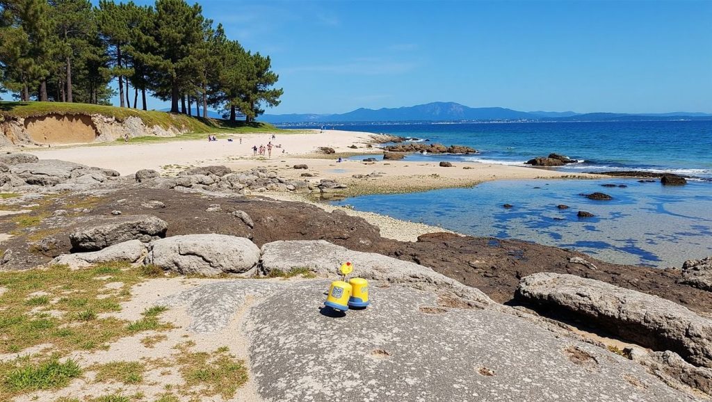 Arena de Praia dos Espiños das Aceñas, A Illa de Arousa (Pontevedra)