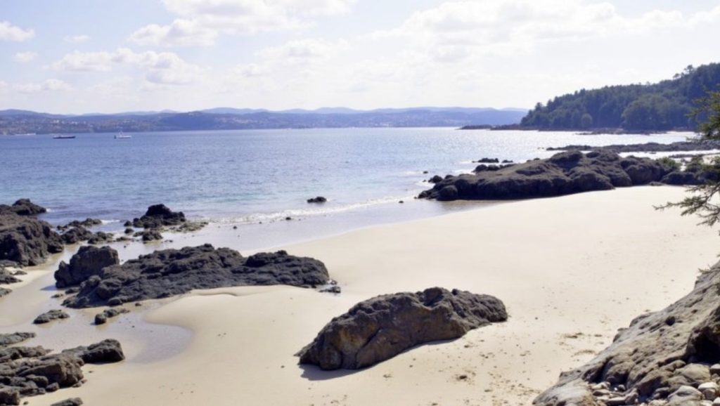 Praia dos Lobos en Sada (A Coruña)
