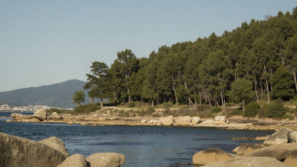 Costa de Praia dos Petóns en A Illa de Arousa, Pontevedra
