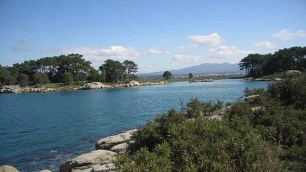Entorno natural de Praia dos Petóns en Pontevedra