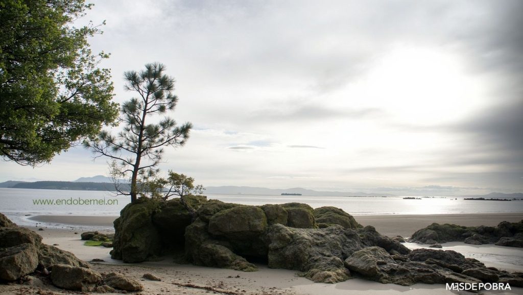Orilla tranquila de Praia dos Raposiños, playa de Galicia