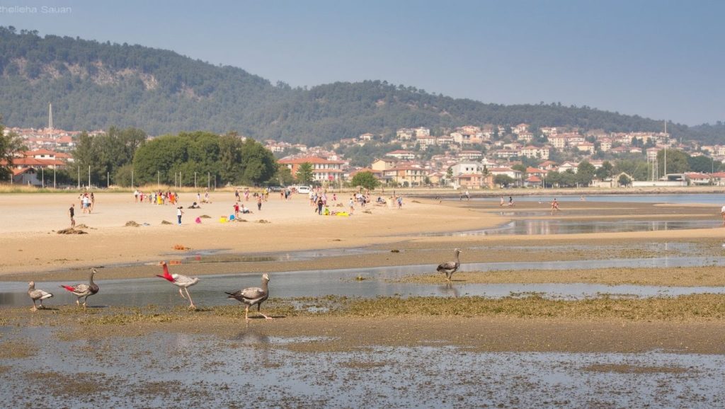 Ría y costa de Praia Nova do Latón en Moaña, Pontevedra