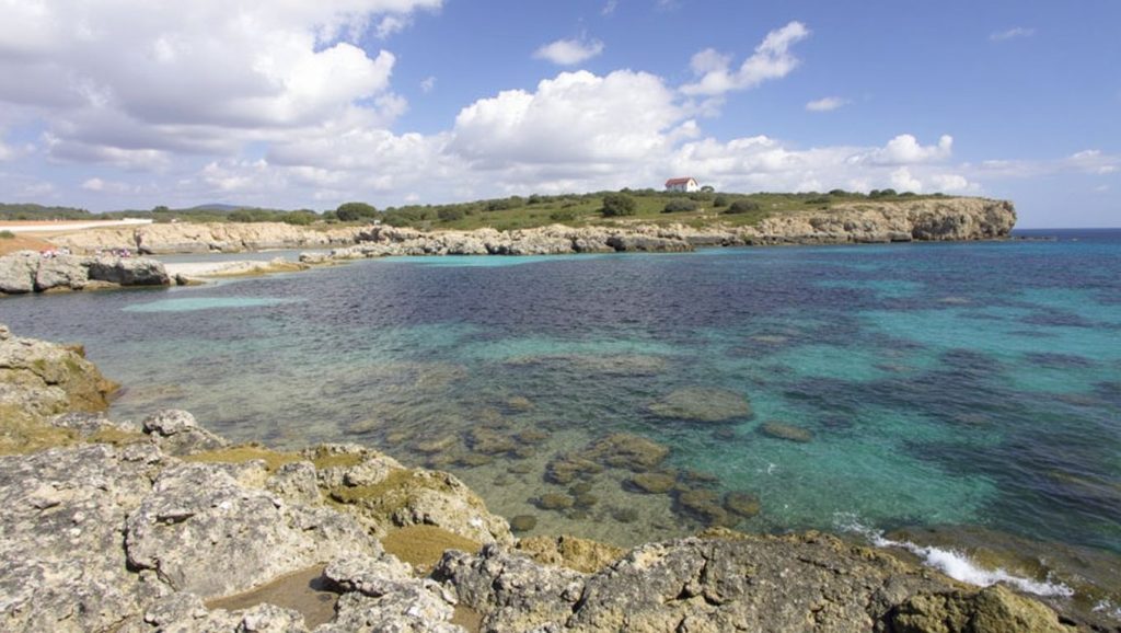 Primer plano de la orilla de s'Algar, Felanitx