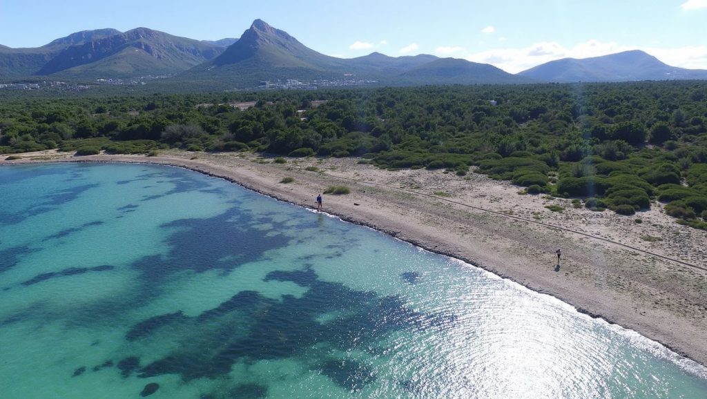 Camino de acceso a S'Arenal de Sa Canova, Artà / Santa Margalida, Mallorca