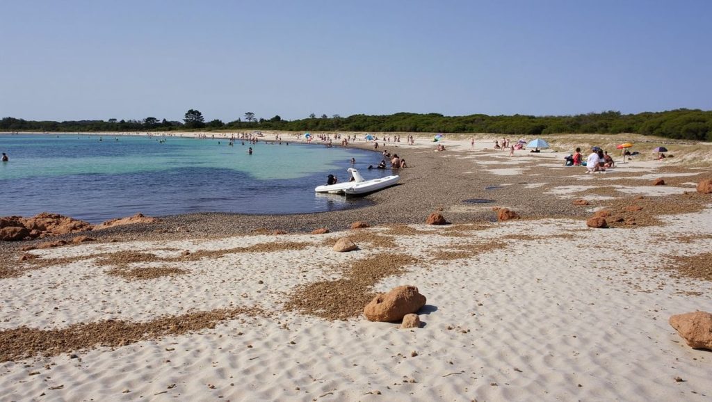 Camino de acceso a S'Arenal Gran, Ses Salines / Campos, Mallorca