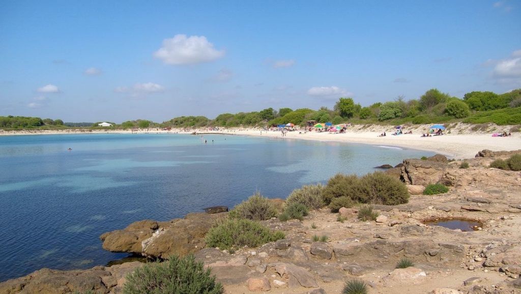 Vista del litoral en S'Arenal Petit, Ses Salines / Campos