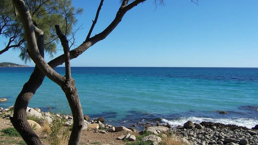 Orilla tranquila de S'Illot, playa de Sant Llorenç des Cardassar