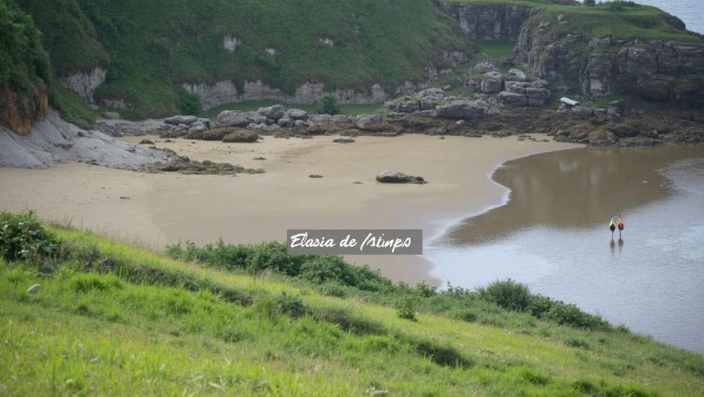 Arena de Sablera Palmera, Carreño (Asturias)