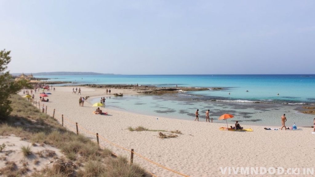 Primer plano de la orilla de Ses Platgetes, Formentera