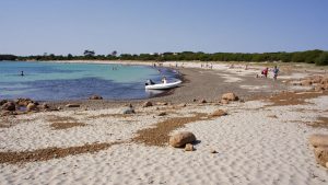 Ses Salines (Es Mercadal, Menorca)