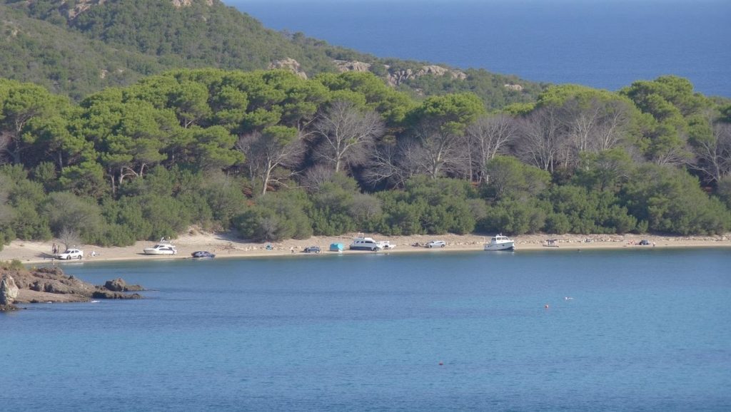 Tamarells de s'Illa d'en Colom — foto 3 de 6