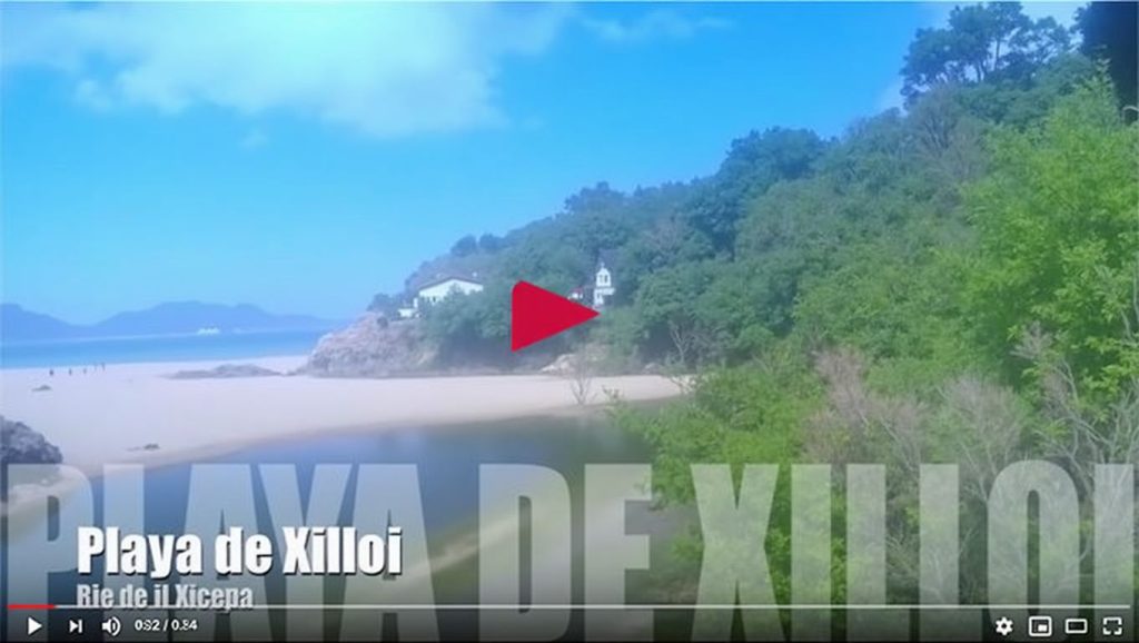 Foto de xilloi
