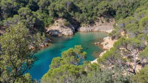 Cala Bona (Tossa de Mar, Girona)