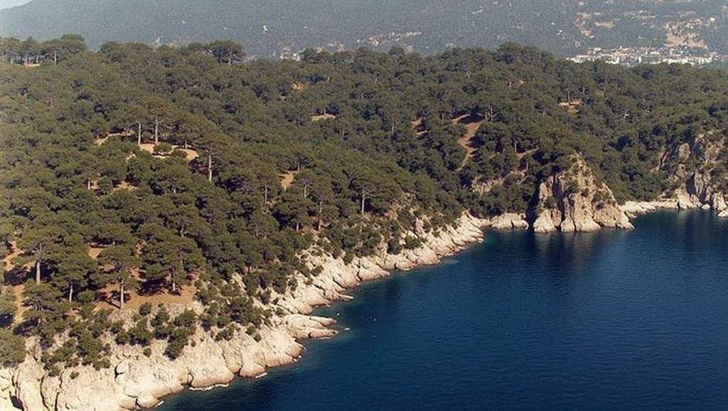 Cala d'en Carlos — foto 6 de 6