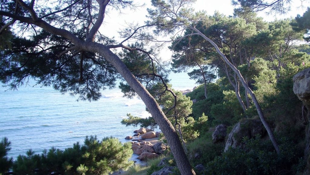 Cala de les Roques Planes — foto 5 de 6