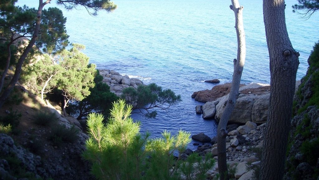 Cala del Forn — foto 5 de 6