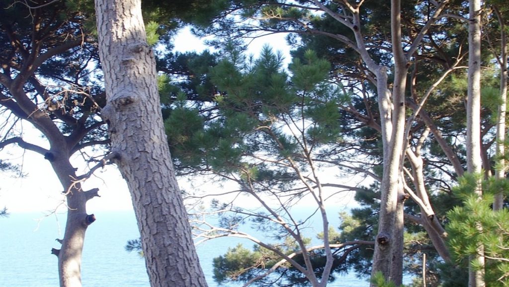 Cala del Raco dels Homes — foto 2 de 6