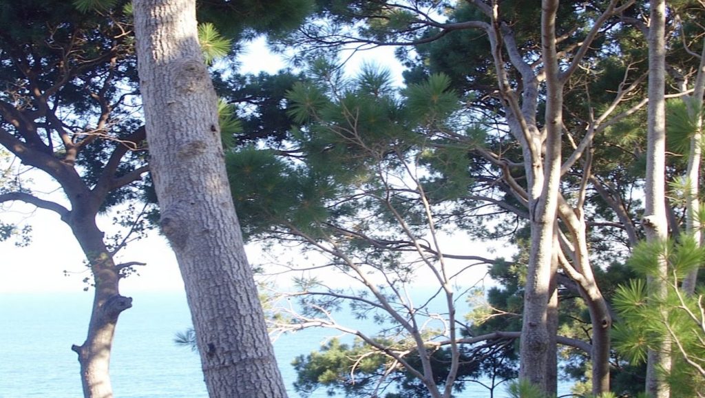 Cala dels Capellans — foto 2 de 6