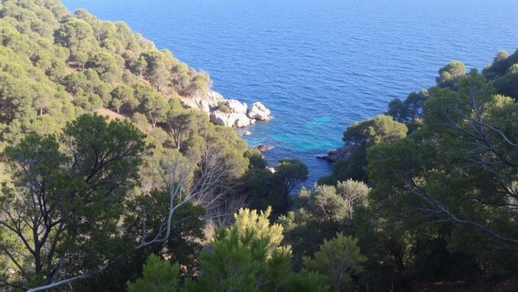Cala Morisca — foto 2 de 6
