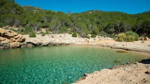 Cala Sant Miquel (Sant Joan de Labritja, Ibiza)