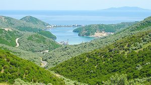 Sivota