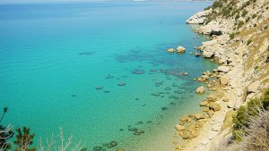 Koroni