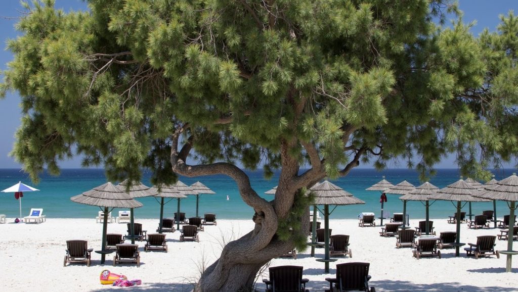 Playa de Mastichari - Kos, Grecia